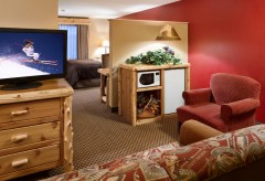Sofa and chair with a dresser and tv and a microwave and mini fridge