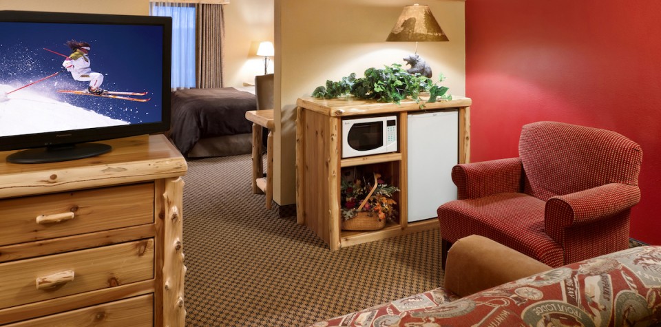 Sofa and chair with a dresser and tv and a microwave and mini fridge